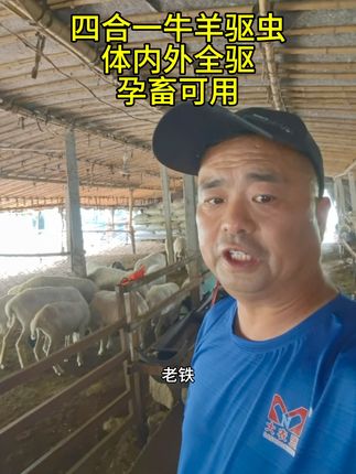 四合一牛羊驱虫体内外全驱孕畜可用