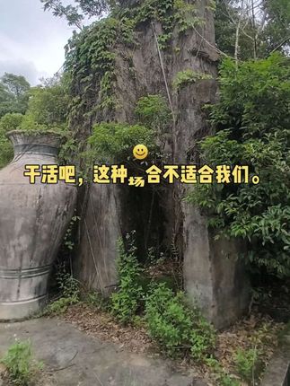#美女 #大长腿 #女神 #性感小性感 #全抖音最火的轮滑