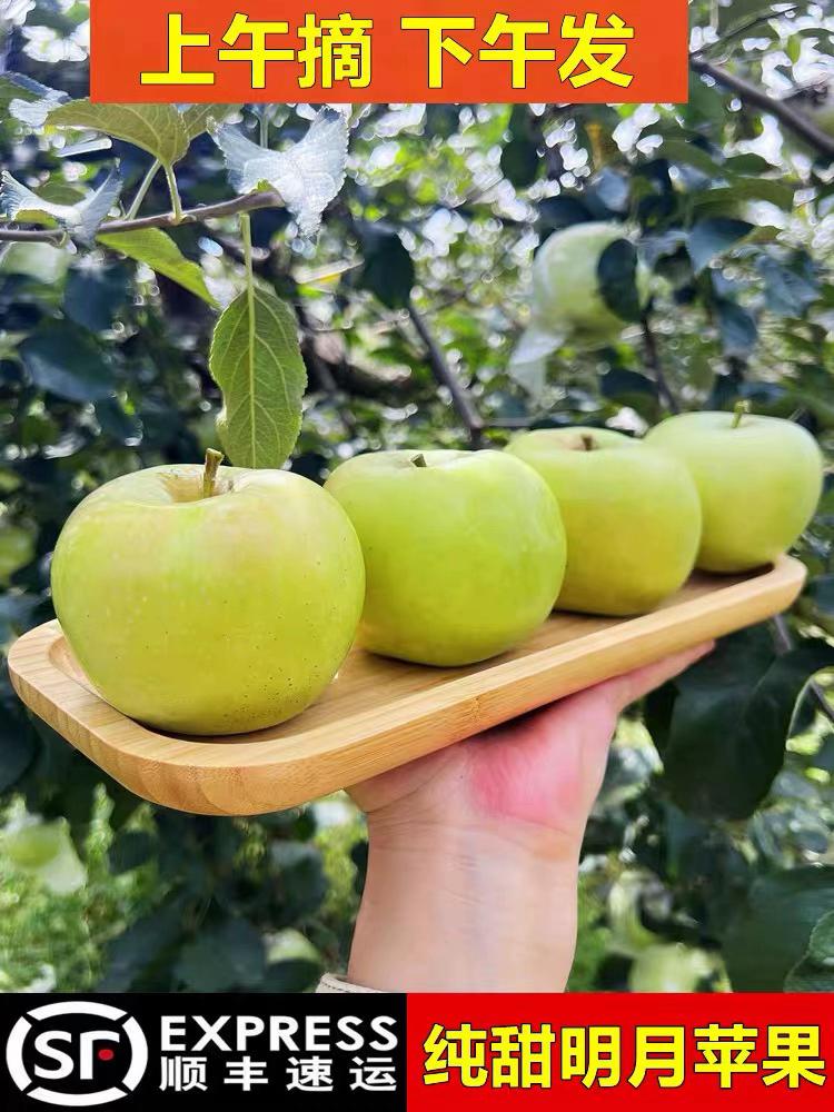 自家青森明月水蜜桃苹果#三农 #抖音助农 #优质农产品 #新农人计划 #自家果园
