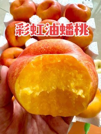 彩虹油蟠桃肉厚核小、果肉细腻、香甜可口、汁水充沛、营养丰富,每一口都是甜蜜的滋味,快来尝尝吧!#桃子熟了 #新鲜应季水果 #好吃到停不下来 #吃货
