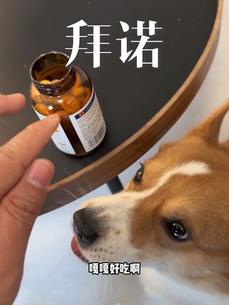 这真是权威了,十三种维生素多个规格可以选择#宠物维生素 #拜诺 #拜诺维生素冻干 #新手养猫 #新手养狗