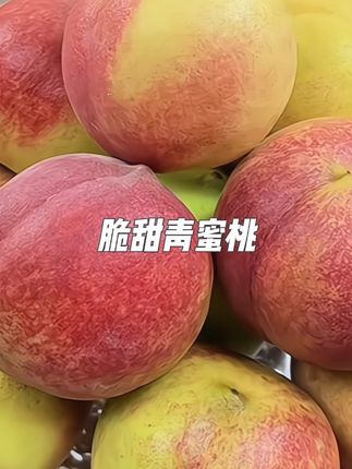 一口惊艳的#蜜桃 ,这价到手5斤真的太划算了!每个都是#现摘现发新鲜到家 ,巨好吃!#脆甜多汁 #青桃 #桃