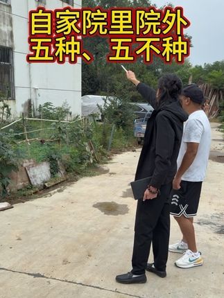 院子这几样不能种?你知道吗#住宅环境#院内院外#实拍#绿植#家居环境