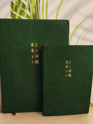 封面质感好,纸张厚实,好书写##简约大气#好物推荐🔥