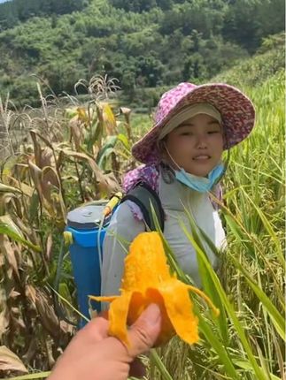 我守着这片土地,春种秋收,深知靠种田种地,发家致富只是遥不可及的梦。  但我仍愿挥洒汗水,精心侍弄每一寸田土,每一株作物。因为它虽无法让我家财万贯,却能在每个饥肠辘辘的时刻,端出热气腾腾的饭菜,让我温饱无忧。这份质朴的保障,是土地给予我的踏实,也是我坚守田间的意义所在。#我的乡村生活 #返乡创业青年 #农民不易 #dou抖音热门y #日常生活