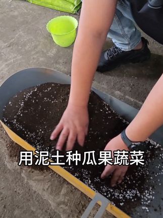 别再乱买营养土了!直播间专享:个位数元秒杀10斤装,还送种植手册,养花新手闭眼入,福利不等人,速来蹲!直播间福利抢购吧!#种植小技巧 #抖音扶农助农 #营养土