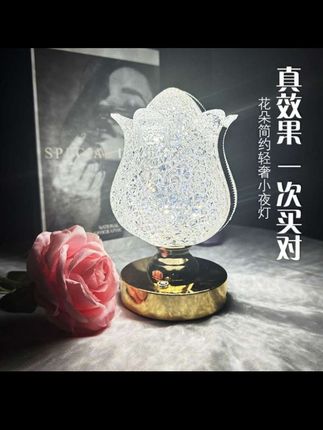 【日本进口】轻奢复古客厅玫瑰简约卧室房间亚克力小夜灯充电氛围灯#小夜灯创意台灯 #氛围灯#小夜灯推荐
