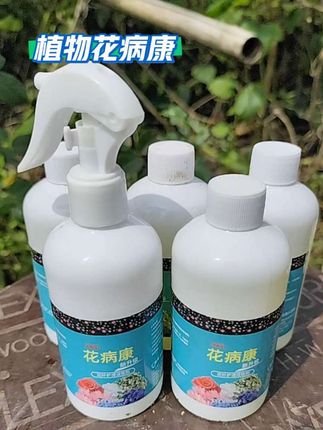 如果你家里养的绿植也出现了黄叶子、掉叶子,叶子枯萎或者叶子长斑点,那就赶紧用这个花病康给它喷一喷!它是专门针对植物的叶子问题研′发的,而且使用起来也非常简单方便,拿起来直接喷洒叶片上就可以了喷几次就好了!#好物推荐🔥