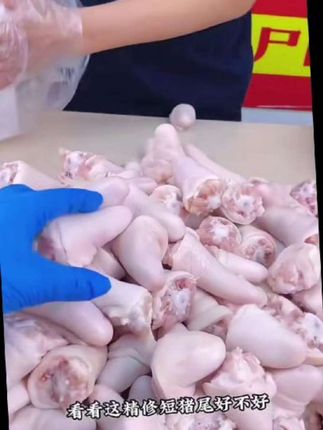 精品多肉猪短尾精修原切整根带皮猪尾巴筋头巴脑生鲜急冻顺丰#快来一起尝个鲜 #太好吃了