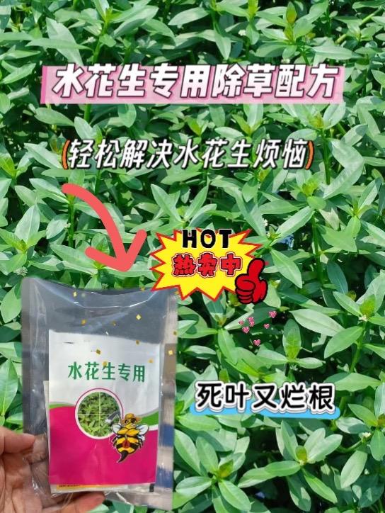 水花生繁盛,成为许多人的心头大患。其死而不倒的叶根结构,一个结巴一条根,普通的草胺膦,只能让它死叶不能让其死根,无论在何处都能肆意生长,令人生厌。今天给大家推荐一款独特的配方灭水花生套餐,能有效让水花生的叶子快速脱水枯萎,并破坏其根部结构。三天变黄七天烂根。而且像水葫芦莲子草猪秧秧小飞蓬刺儿菜 田旋花 婆婆纳等均可清除,有需要的小伙伴们,赶紧尝试一下吧,点击下方链接,轻松解决水花生带来的困扰!#水花生烂根专杀#水花生烂根除草剂#除草烂根渗透力强一次解决 #水花生克星#三农