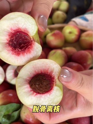 又脆又甜#珍珠枣油桃