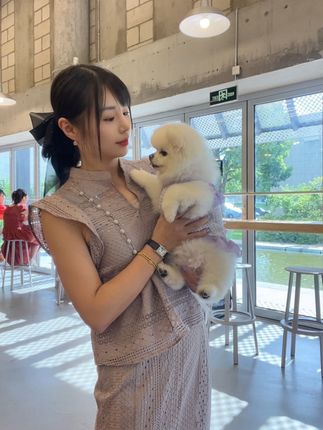 #博美宝宝