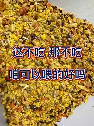 鹦鹉学吃 鹦鹉断奶 鹦鹉补充营养小颗粒#鹦鹉粮#鹦鹉辅助粮