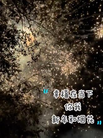 #烟花🎆 马踏春归 万事胜意