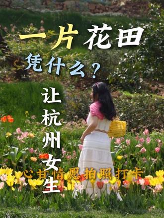 营地怎么用一片花田玩转整个春天#营地设计 #营地规划 #春天你好