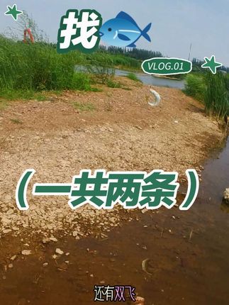 #钓鱼才是抖音运动顶流 #钓鱼的乐趣只有钓鱼人懂