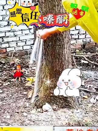 #除杂草 #除大树 #除灌木 #环嗪酮除大树竹子灌木杂草