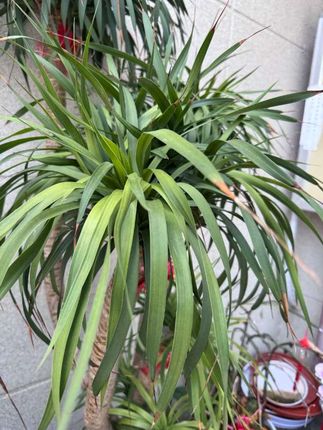 #卸妆膏 #卸妆膏推荐 #卸妆膏温和不刺激