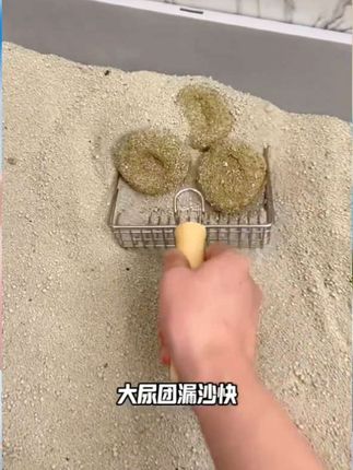 #猫铲 #新手养猫 #好物推荐🔥 #便宜好物 #