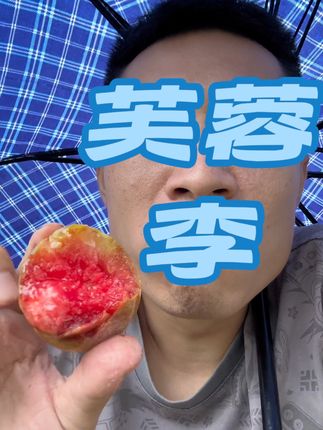 盖洋芙蓉李可以吃了 #新鲜采摘 #应季水果 #新农人计划 #上热搜 #助农