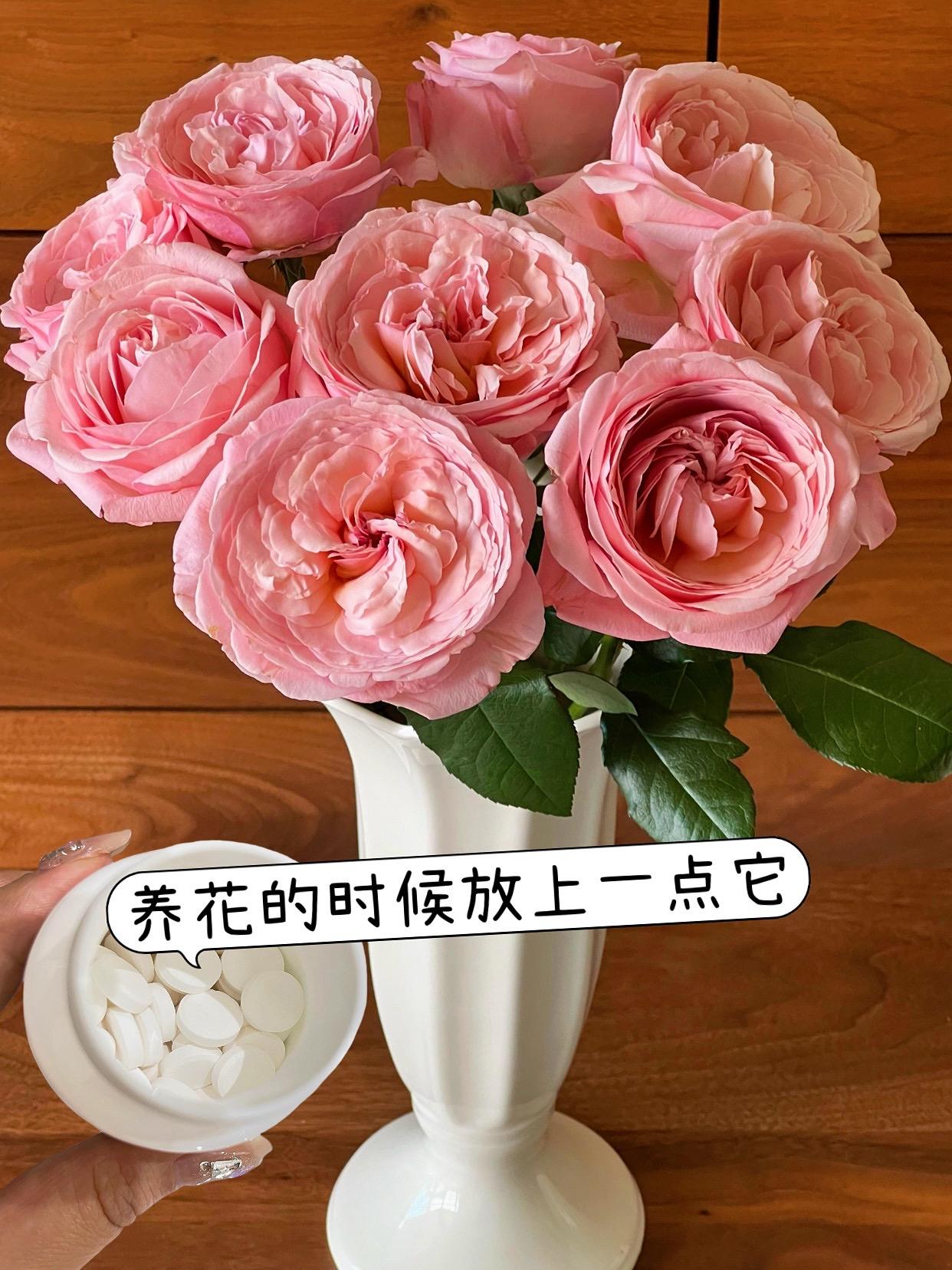 一水到底!延长花期!#鲜花#居家插花#鲜切花#鲜花泡腾片#鲜花养护