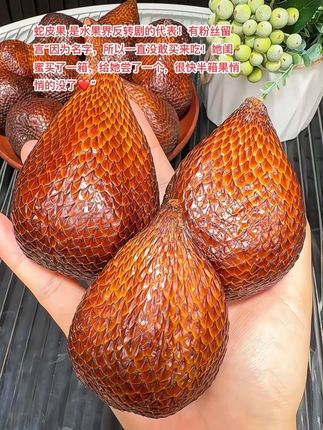 蛇皮果 是水果界反转剧的代表!有粉丝留言“因为名字,所以一直没敢买来吃!她闺蜜买了一箱,给她尝了一个,很快半箱果悄悄的没了❤️” #蛇皮果 #奇特的水果 #太好吃了 #热带水果 #强烈推荐