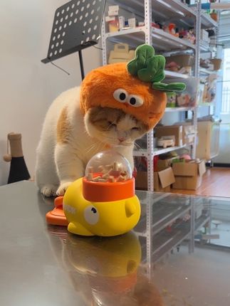 让我看看是谁家的傻猫现在还不会玩小黄鸭!发出来让我笑一下!#猫咪玩具 #狗狗玩具 #逗猫神器 #漏食玩具