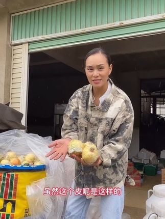 云南蒙自石榴,我们一直传承种植的老品种,正宗蒙自石榴,皮薄薄的,果粒大,水分充足