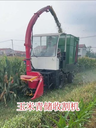 #青储机 #青储机厂家 #玉米青储收割机
