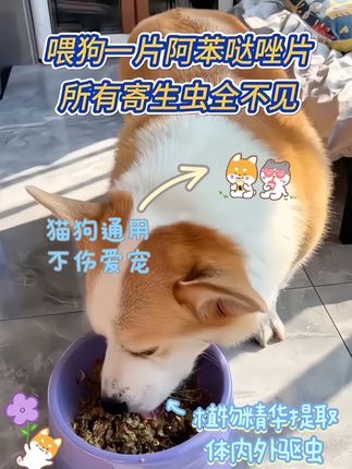 #科学养宠攻略 #萌宠出道计划 #养狗小知识 #萌宠好物 #养狗人