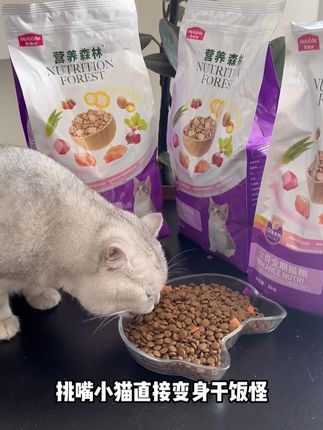 多猫家庭真的可以放心入,我家挑食猫咪吃的都嘎嘎香#萌宠好物 #麦富迪猫粮 #猫粮 #养猫经验分享 #新手养猫