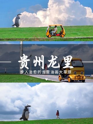在龙里油画大草原的经纬度上 收集散落人间的金色时分 #龙里油画大草原#国庆假期被安排明白了#旅行推荐官 #贵州旅游 #治愈