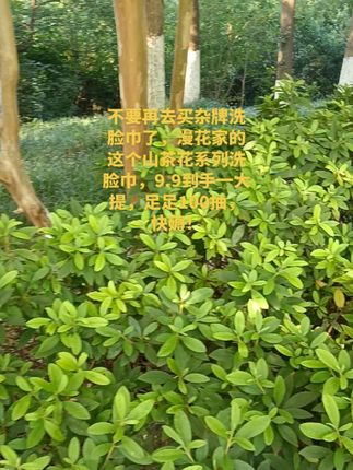 #洗脸巾 #漫花洗脸巾 #好物推荐🔥