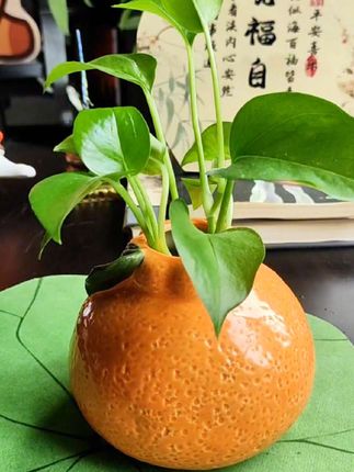 创意橘子花瓶陶瓷,客厅桌面办公装饰品花瓶摆件#生活美学 #花瓶 #花瓶摆件 #橘子花瓶