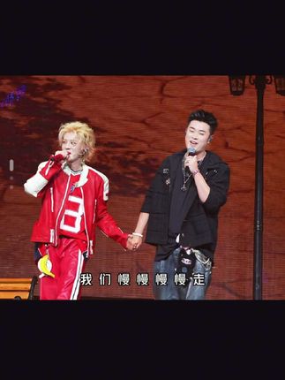 鹿晗陈赫牵手版《慢慢》直拍~ #鹿晗 #陈赫 #鹿晗慢慢 #鹿晗武汉演唱会