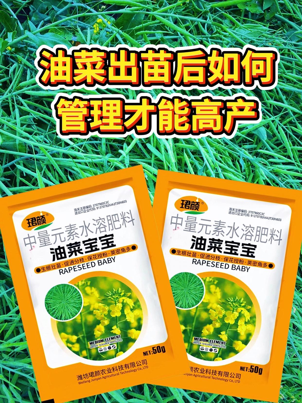 当油菜出苗十五天以后,您可千万别高兴的太早,这时呀,就要及时的给他补充营养肥了。不然容易出现高脚苗,影响移栽成活率,减少产量。我们呢,可以喷点这个油菜宝宝,避免油菜旺长根状、苗状,抗逆抗寒。开花多,结痂多,籽粒饱满,一袋五十克兑一桶水,叶面喷湿,移栽十天后再打一次。它是根据油菜生长而研发定制的。想要油菜高产丰收出油率高的家人,点击左下角小黄车,别忘记下单带走!#种植小技巧 #三农 #油菜宝宝#油菜种植