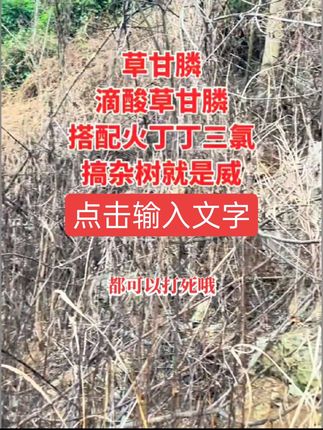 火丁丁三氯增助剂,搭配除草剂可以打甘蔗地顽固性滕慢,老草,复配草甘膦或者滴酸草甘膦,可以打死勾树,野葛藤,烂根#火丁丁三氯 #除草剂配方 #三农