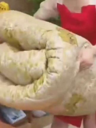 特价加厚驼毛被子冬被芯保暖驼绒被单双人春秋被学生宿舍冬天棉被