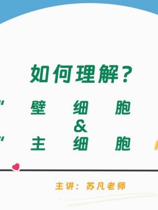 如何理解“壁细胞”和“主细胞”? #护理事业编 #护理网课 #护理考研 #护士考编 #护士