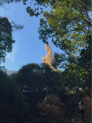 不要和家里人混着用,分开用!#指甲 #护甲