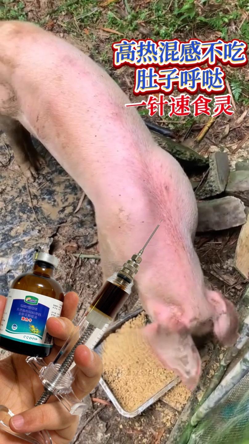 #养猪人 #养猪技术 #养猪场 #养猪人加油干