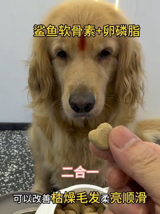 #软骨素 #卵磷脂 #狗狗毛发无光泽 #狗狗 #狗狗好物推荐
