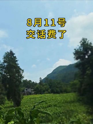 #天然氧吧 #登上山顶看美景 #乡村生活