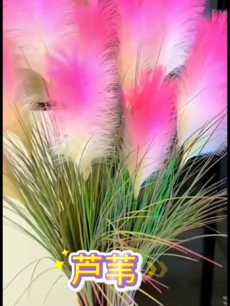 #超便宜超划算 #仿真花 #花与生活 #芦苇 #装饰摆件