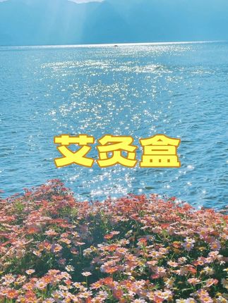 #养生保健 #排湿驱寒 #古法艾灸 #艾灸盒