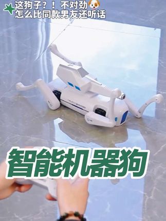 AI智能机器狗,孩子的科技玩伴。 能听指令互动,AI语音响应灵快;机械臂精准夹物,锻炼动手力;安全水弹发射,添趣味对战。 不分性别,男孩女孩都爱玩。环保材质,边角圆润,爸妈放心。 既是电子宠物,也是益智玩具,送礼选它,孩子准喜欢。#机器狗 #电动玩具 #好物推荐 #AI智能机器狗