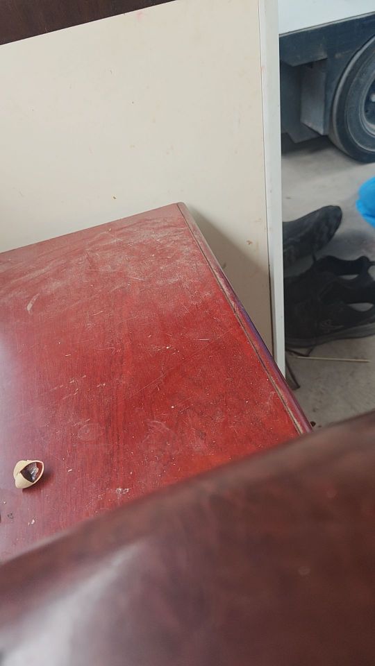 质量好没问题值得购买 物流速度:快 包装外观:好#我在抖音买买买