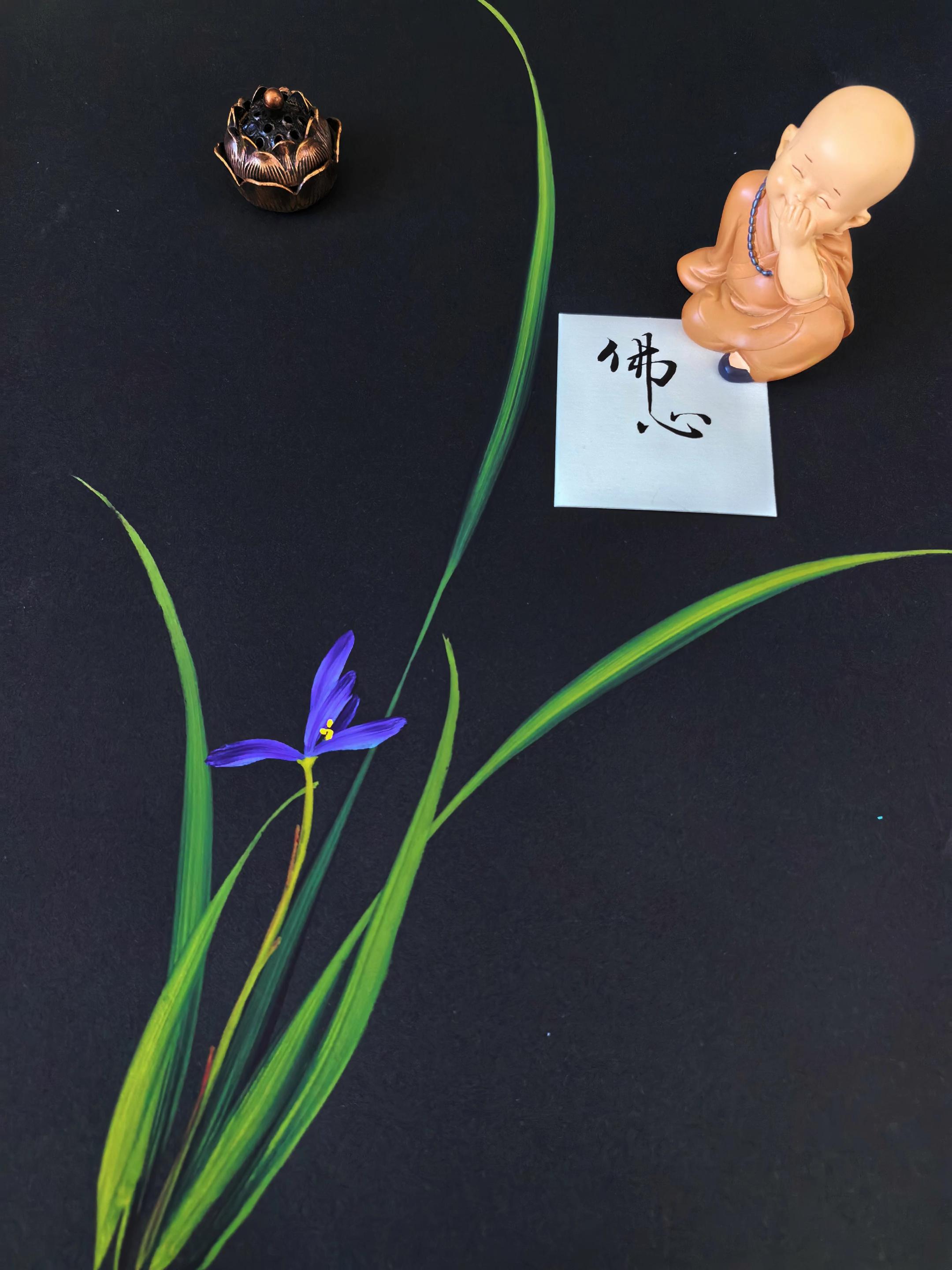 兰生幽谷无人识,客种东轩遗我香。今日打卡自学国画兰花#美不美你说了算