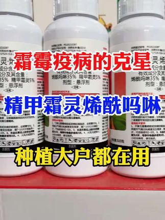 精甲霜灵烯酰吗啉 #精甲霜灵烯酰吗啉 #霜霉病 #疫病 #病害防治 #抖音助农