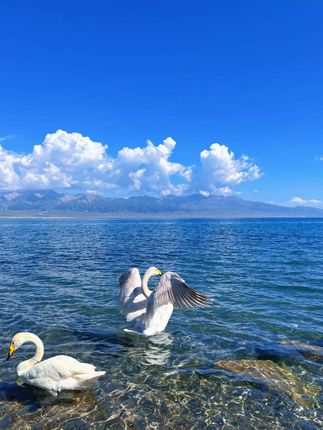 #杜克和一哥 #杜克环游世界 #孟加拉的故事